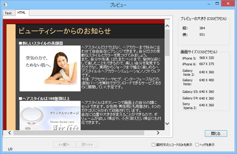 送信プレビュー画面の例
